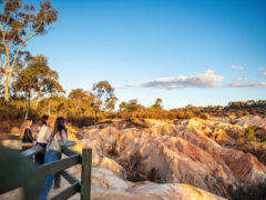 The Pink Cliffs Geological Reserve in Heathcote, Vic