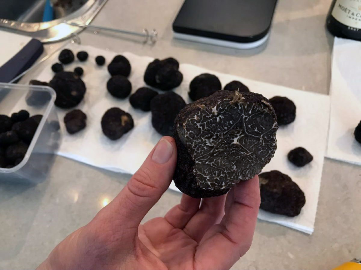 Truffle up close