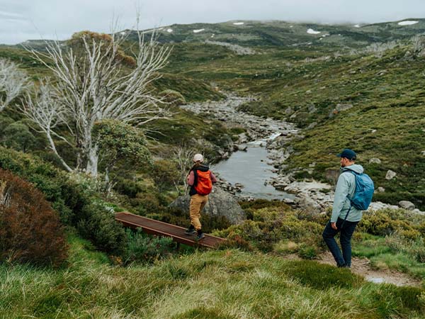 snowies alpine walk